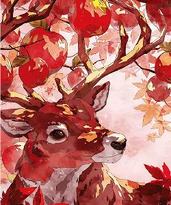 일러스트레이션